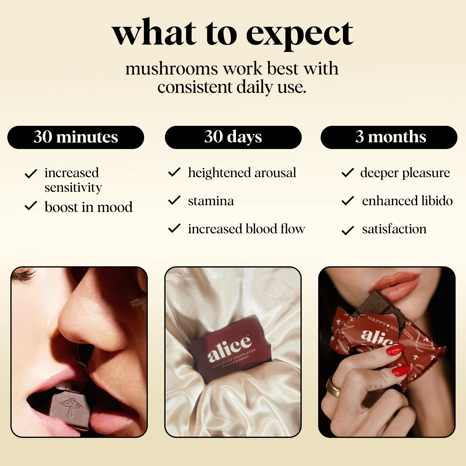 Big Night Bundle (Party Trick, Happy Ending, Nightcap) - Image 6