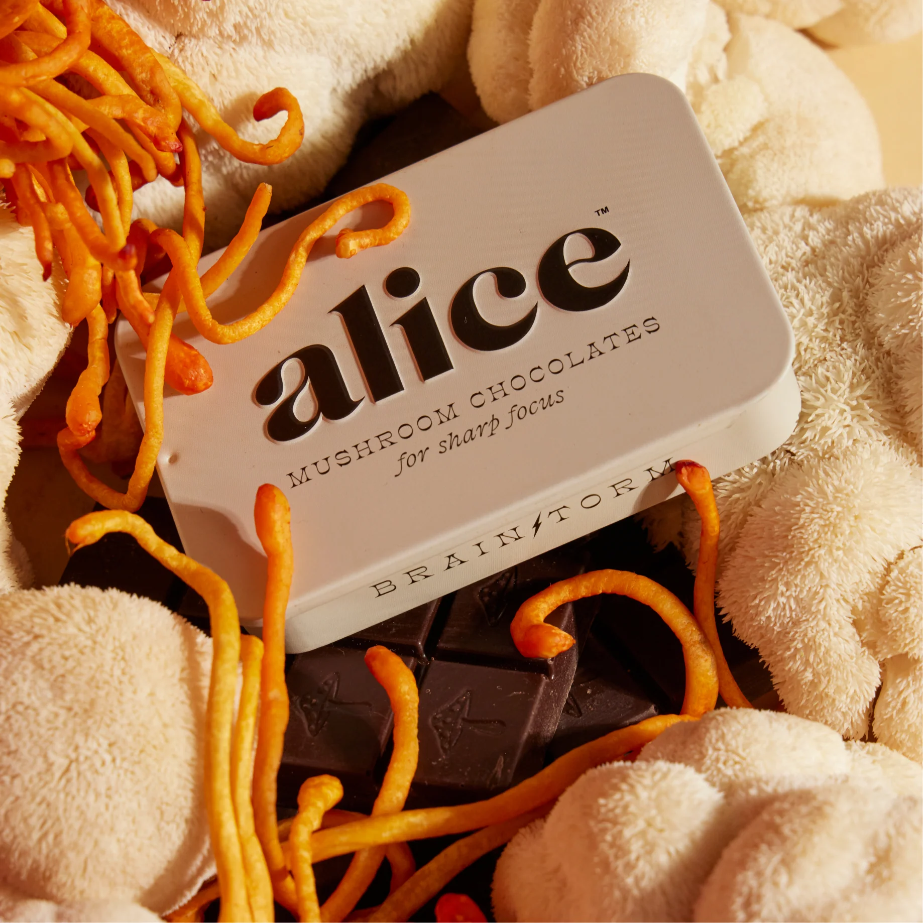 Brainstorm Functional Mushroom Chocolates - Image 6