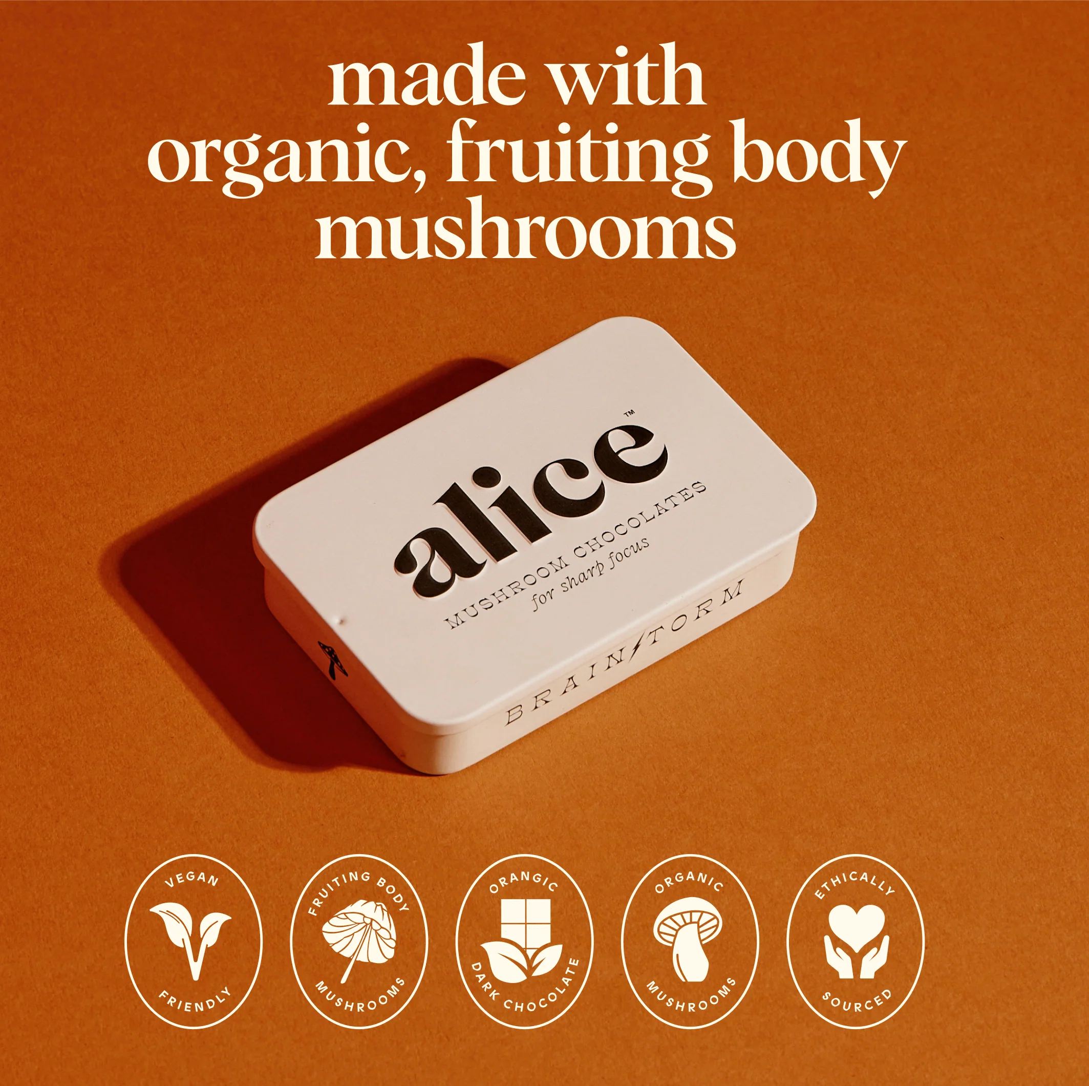 Brainstorm - Offer - Image 4