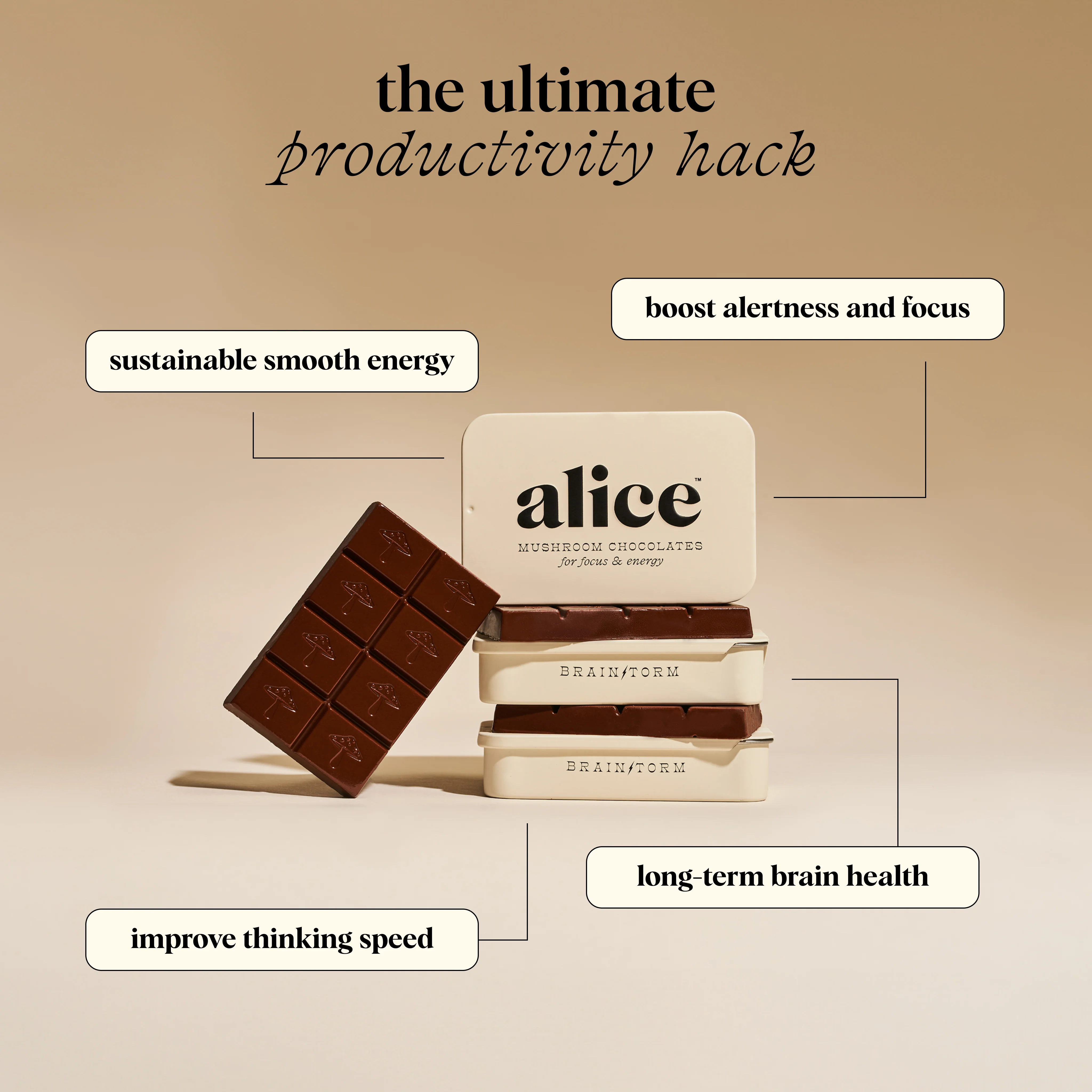 Everyday Duo - Brainstorm and Nightcap Functional Mushroom Chocolates - Image 3