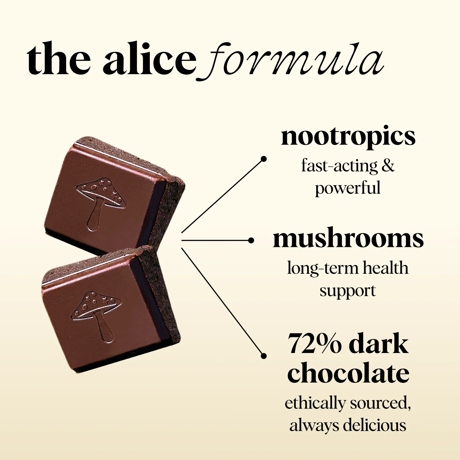 Zen-X Functional Mushroom Chocolates - Image 6