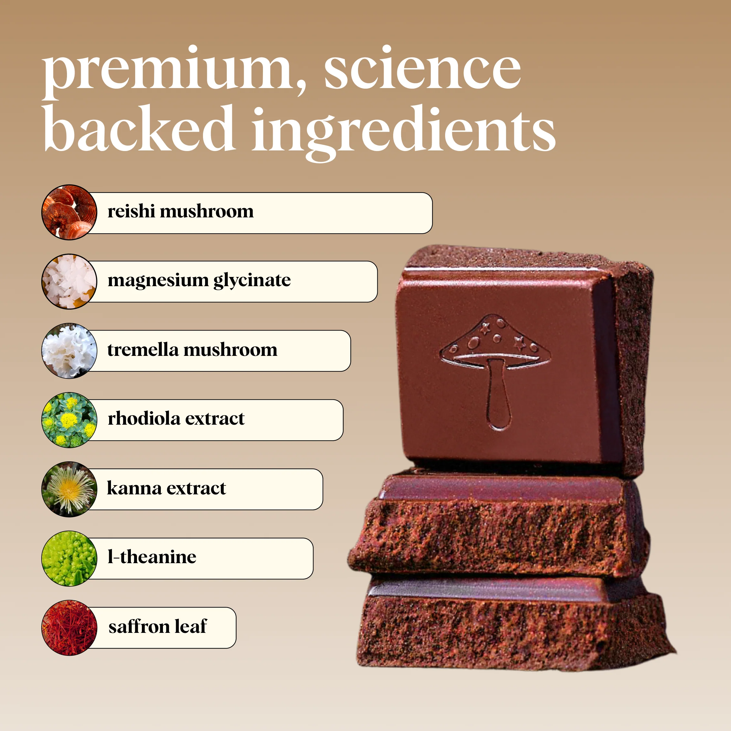zen-x functional mushroom subscription kit - Image 6
